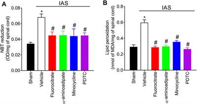 Intense Acute Swimming Induces Delayed-Onset Muscle Soreness Dependent on Spinal Cord Neuroinflammation